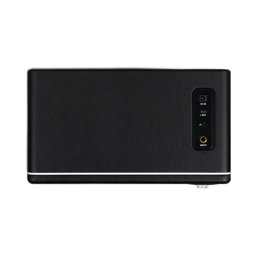 Mooer Hornet 15i Black