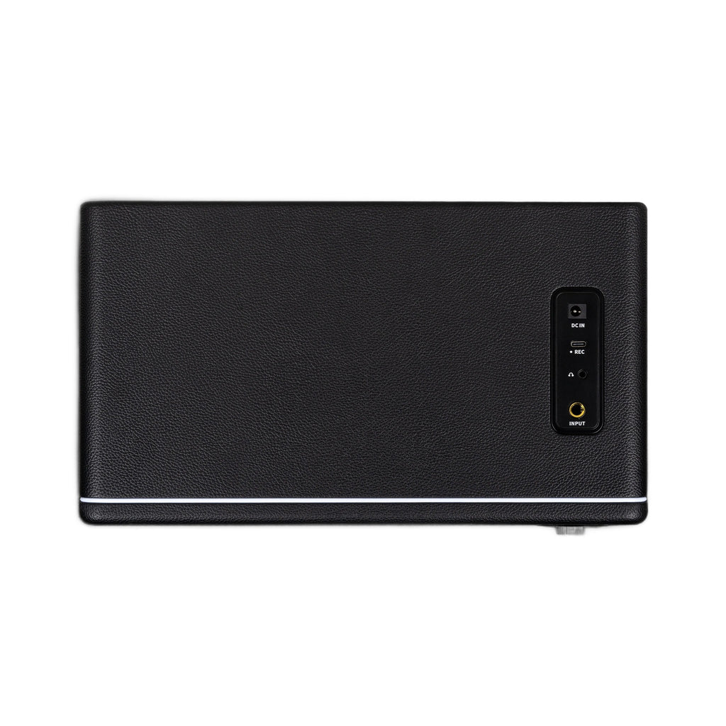 Mooer Hornet 30i Black