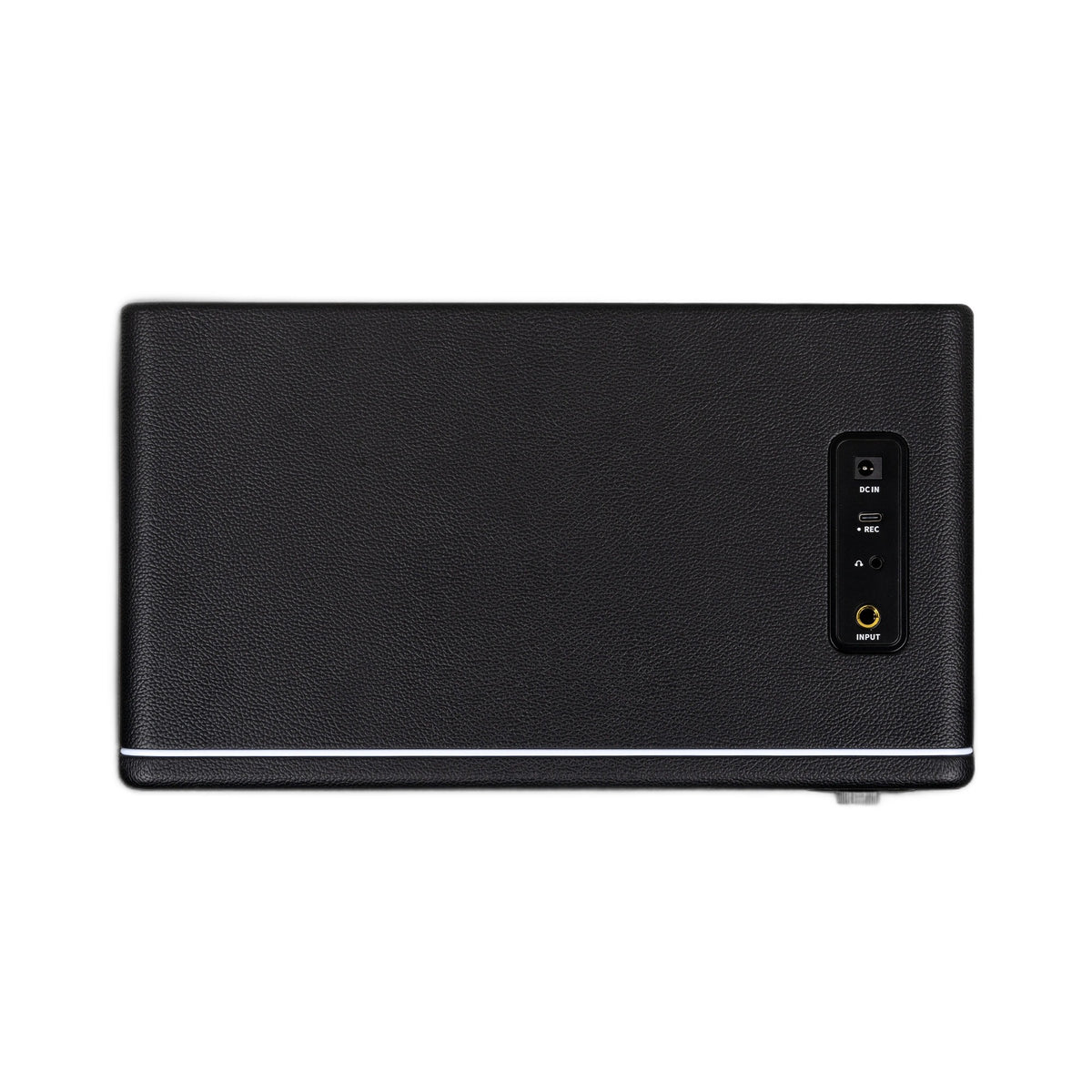 Mooer Hornet 30i Black