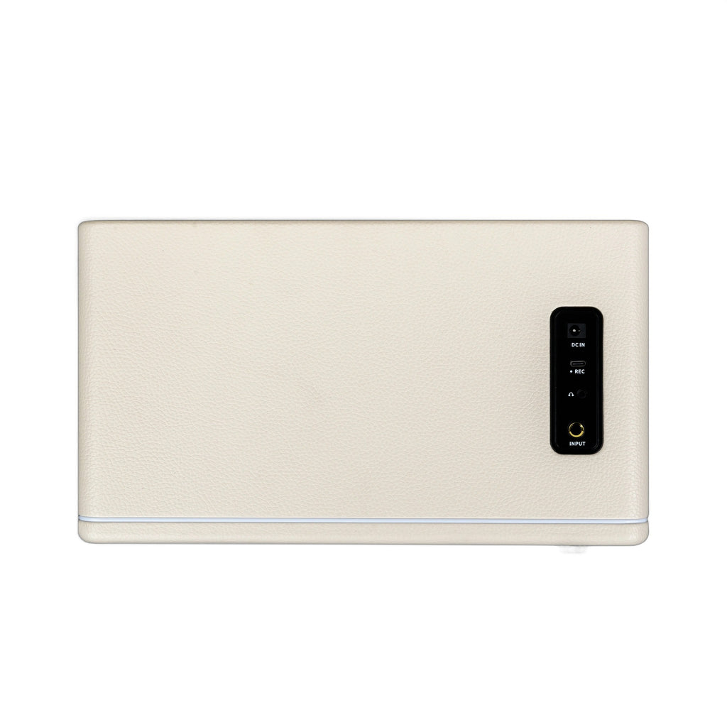 Mooer Hornet 30i White