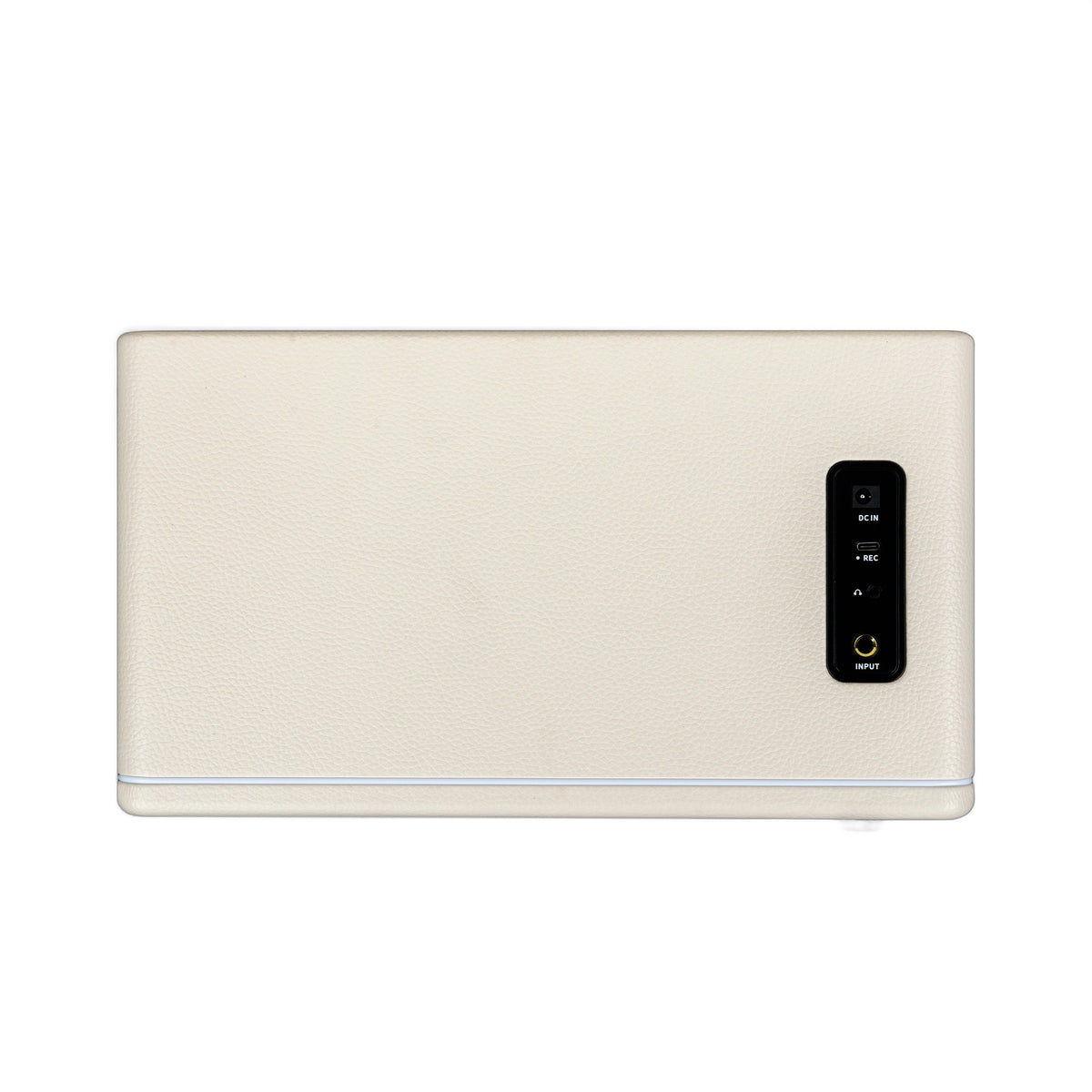 Mooer Hornet 30i White