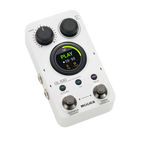 Mooer GL100