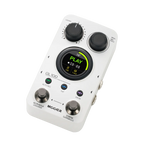 Mooer GL100