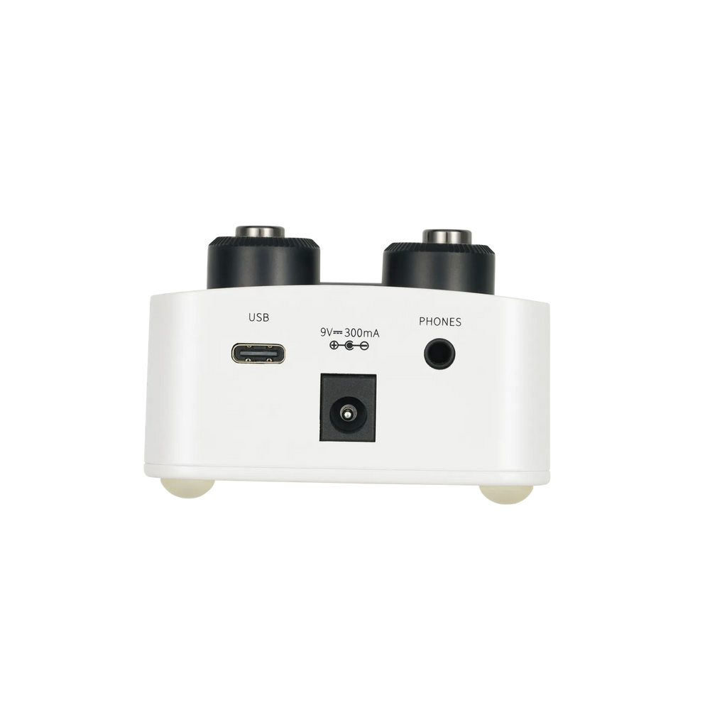 Mooer GL100