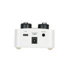 Mooer GL100