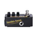 Mooer 014 - Taxidea Taxus