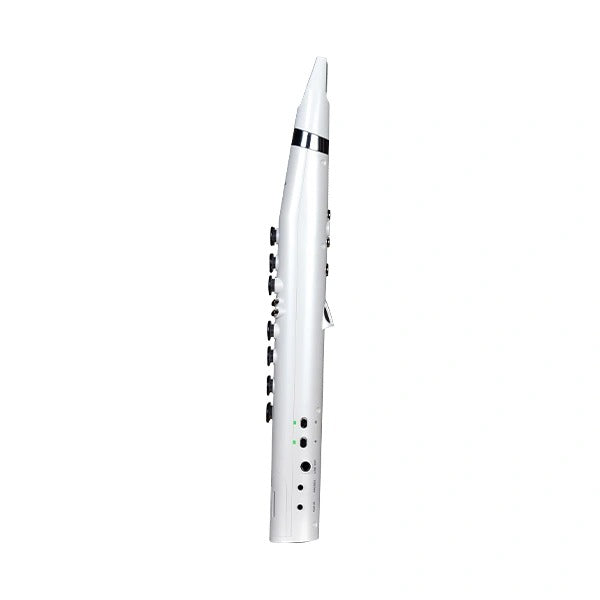 Mooer Wi100
