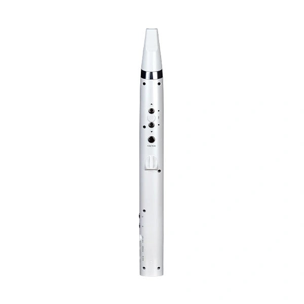 Mooer Wi100