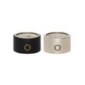 Sontronics Omni Capsule for STC-1 and STC-1S (SILVER)