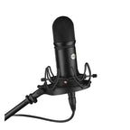 Voyage Audio Spatial Mic Dante
