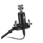Voyage Audio Spatial Mic Dante