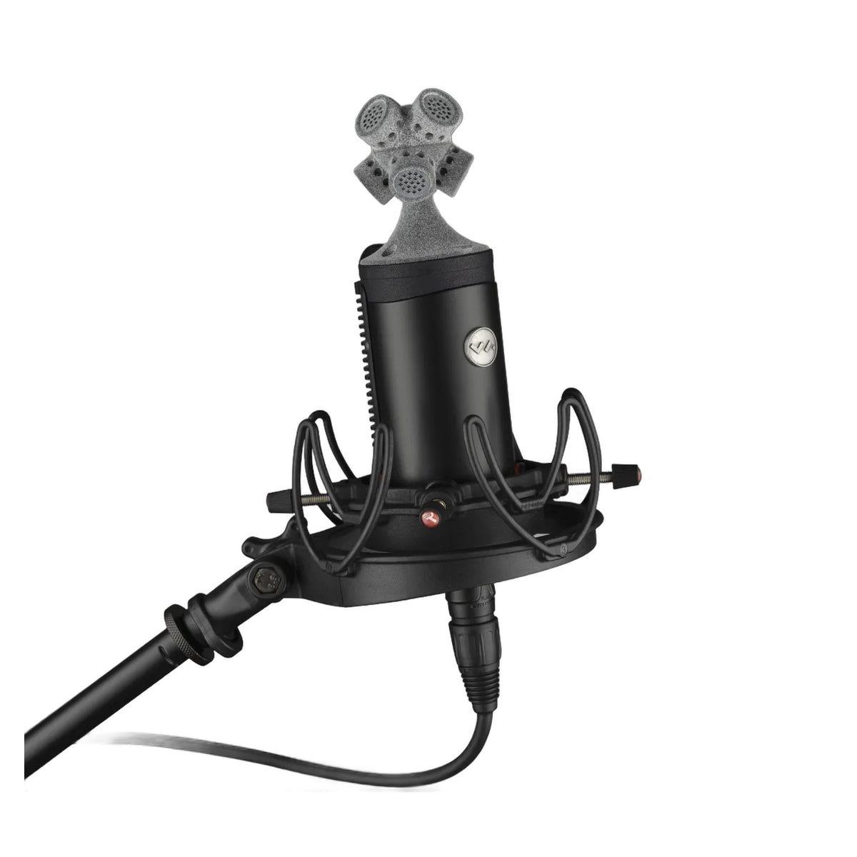 Voyage Audio Spatial Mic Dante